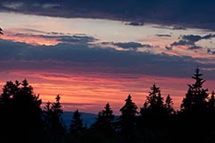Oberpflzer Wald  - Zum Vergroessern klicken!